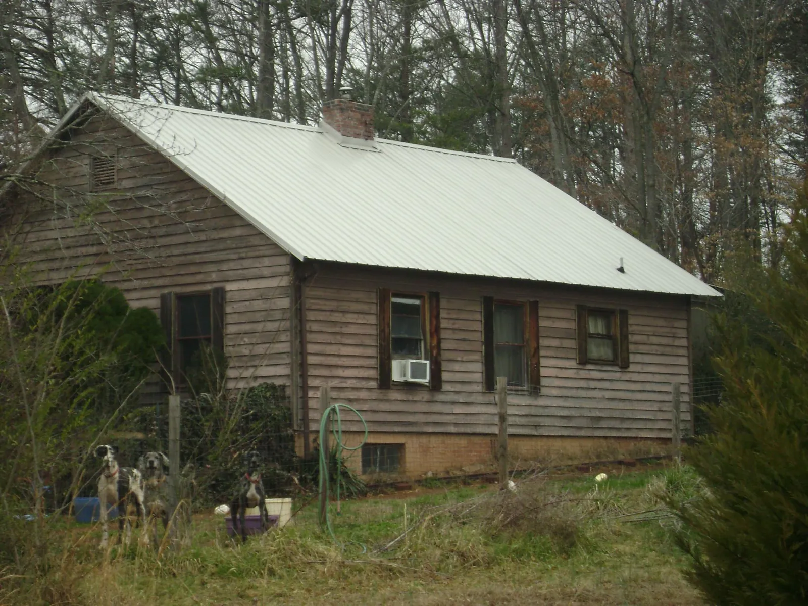 White metal roof on an old wood sided farmhouse, from a Asphalt Shingle Roof Repair job in Lando
